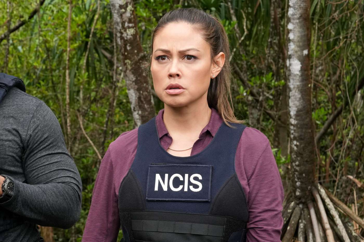NCIS: Hawaii annulée après 3 saisons