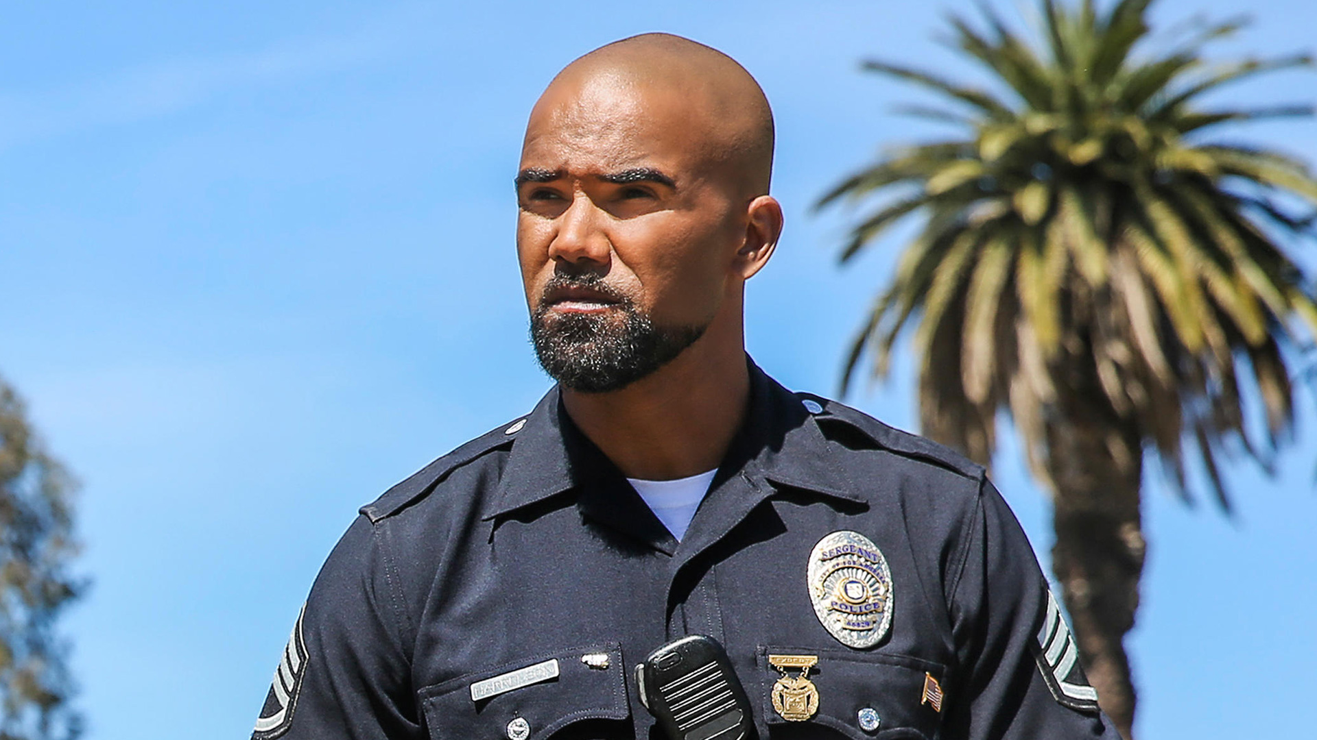 S.W.A.T. finalement renouvelée pour une saison 8 !